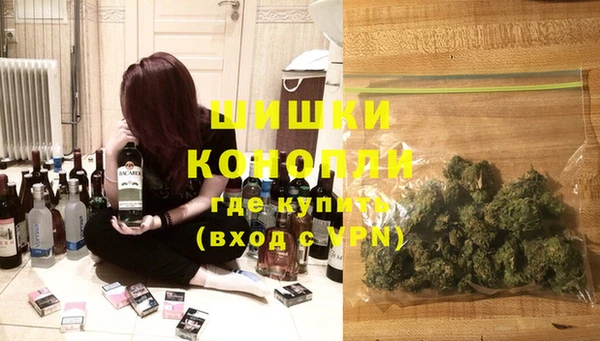 дмт Арсеньев