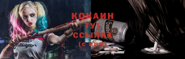 дмт Арсеньев