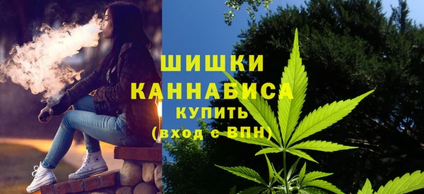 дмт Арсеньев