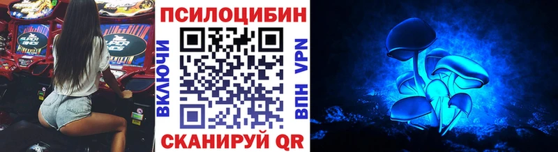 наркотики  Дыгулыбгей  Псилоцибиновые грибы Magic Shrooms 